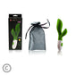 PRETTY LOVE - FLIRTAZIONE VIBRATORE OWEN GREEN