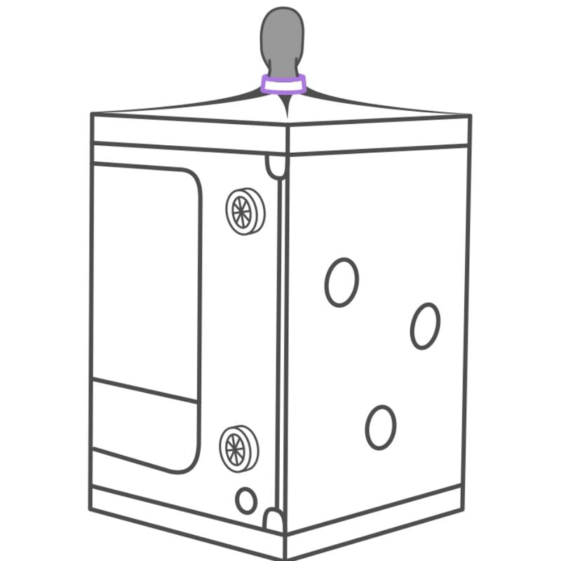 SECRET DOME - KINK CLUB CABIN SCANDALE VIOLA